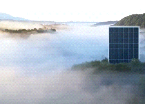 gif5.gif